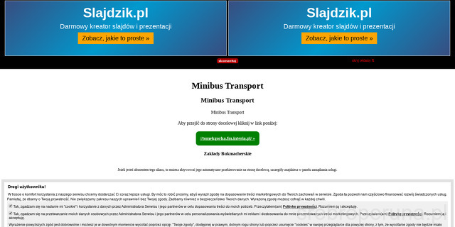 minibus-transport-sp-z-o-o
